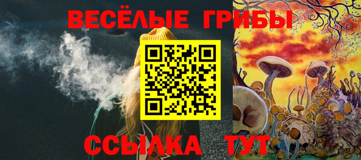Псилоцибиновые грибы Psilocybine cubensis Кимовск