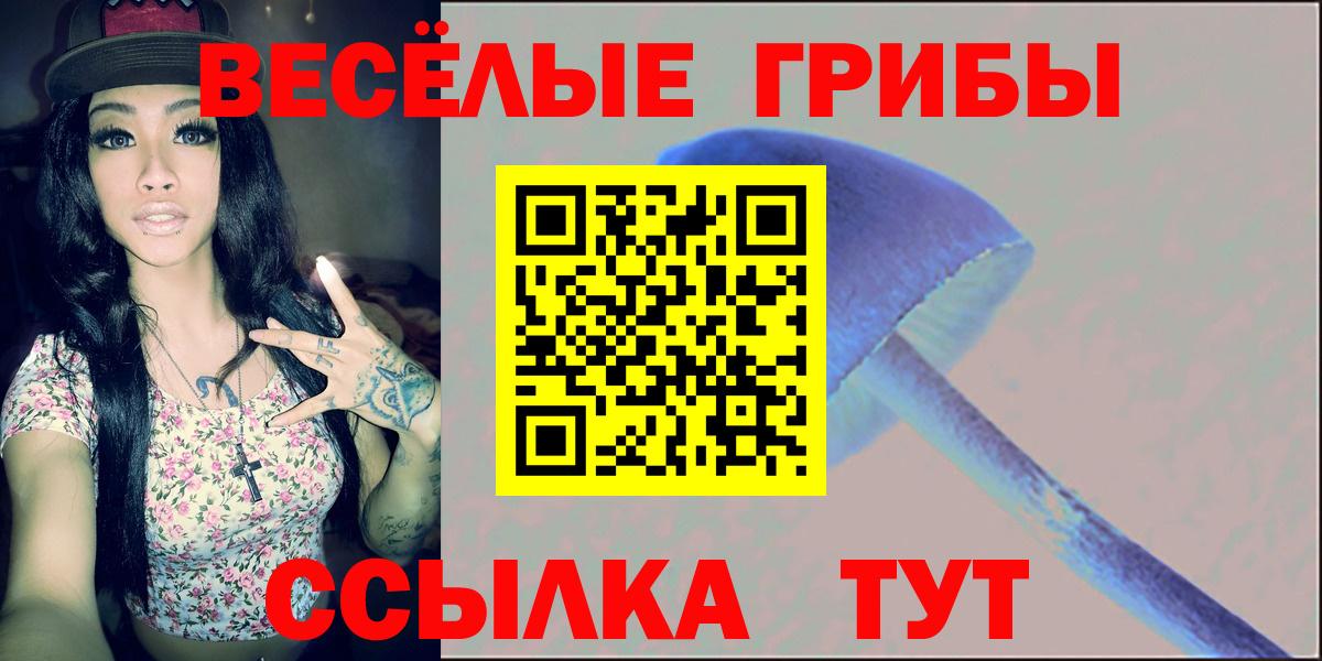 купить наркотики цена  Галлюциногенные грибы мухоморы  Вход с VPN  Кимовск  Псилоцибиновые грибы ЛСД 
